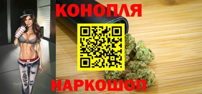 гашик Будённовск