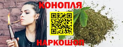 гашик Будённовск