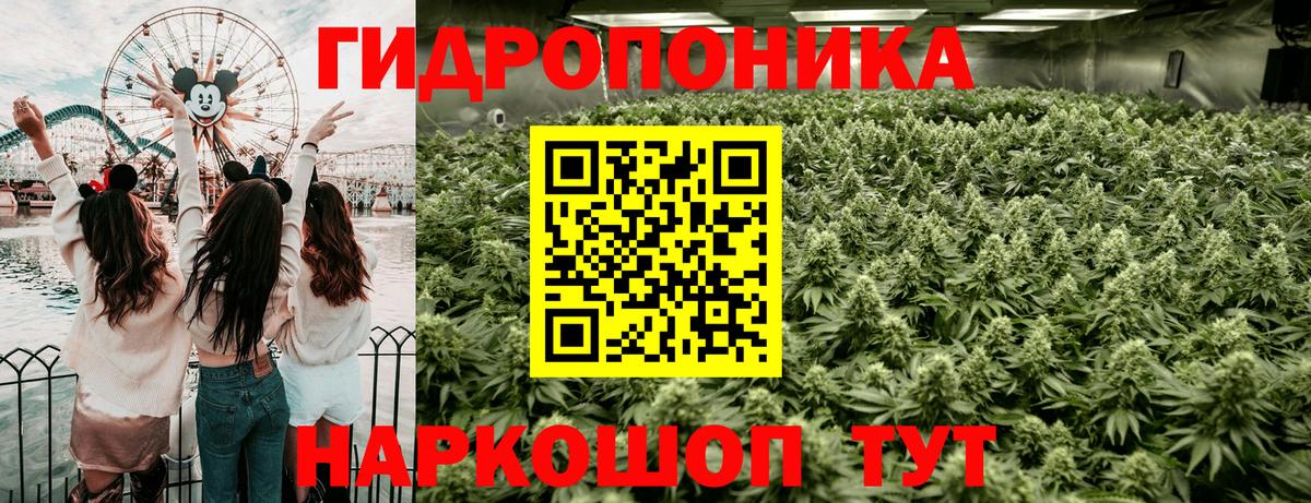 Каннабис OG Kush  МАРИХУАНА SATIVA & INDICA  Вход с VPN  Самара  Каннабис Bruce Banner  Марихуана LSD WEED 